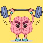 Perfect Brain 3D Puzzle